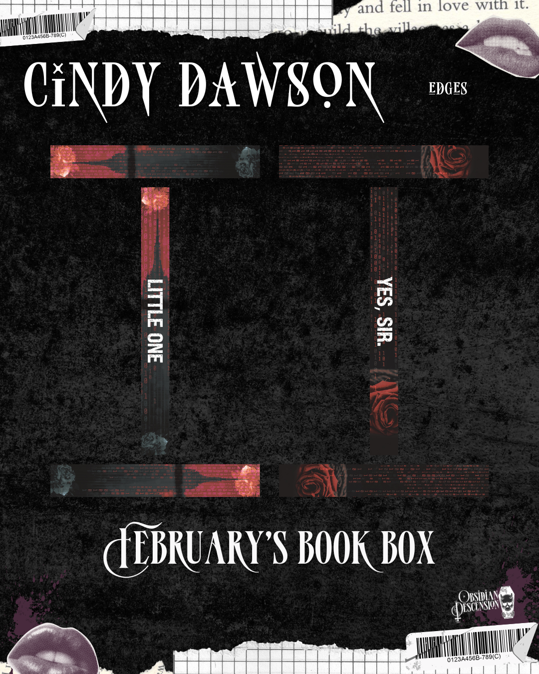 Cindy Dawson Box - OVERSTOCK