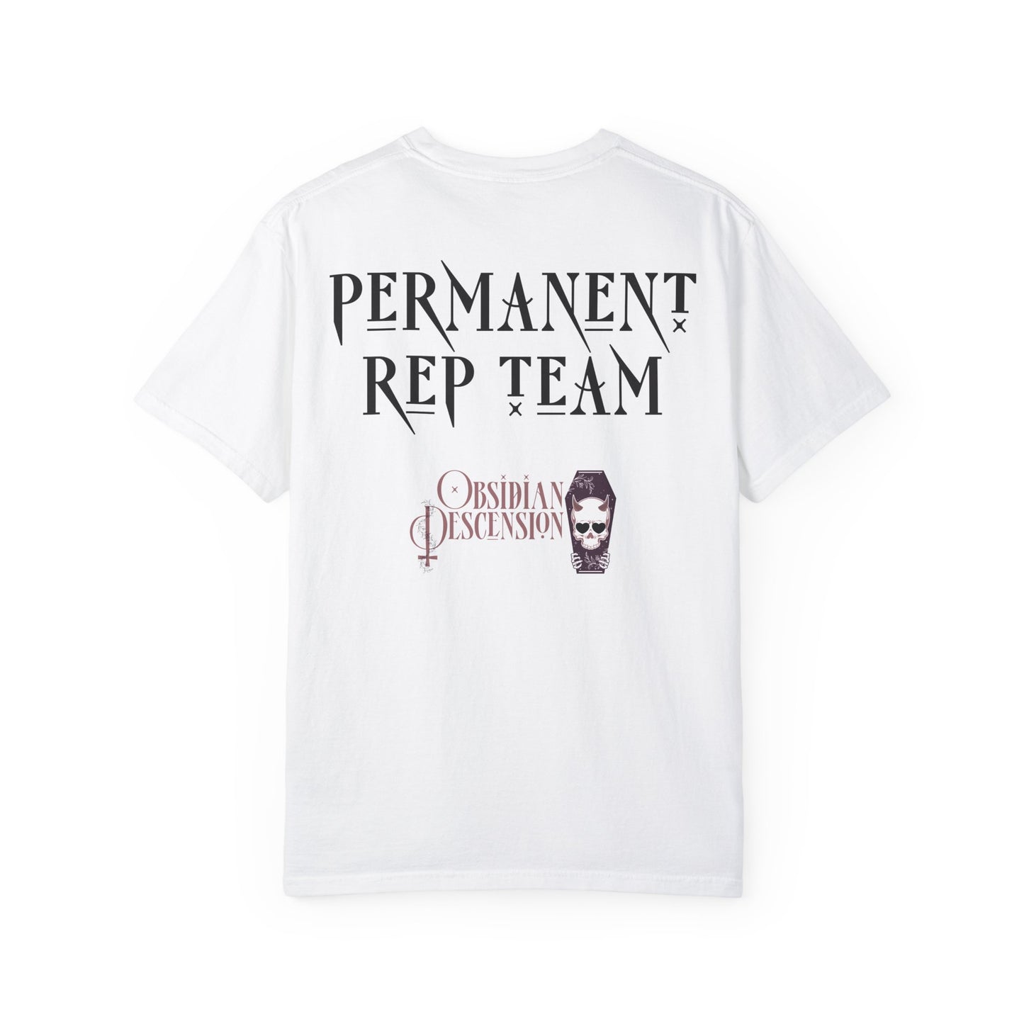 Permanent Rep Team