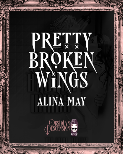 Pretty Broken Wings Box