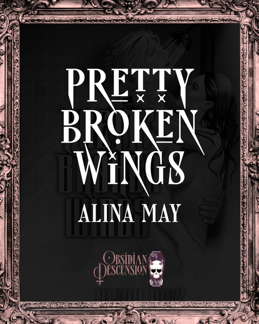 Pretty Broken Wings Box
