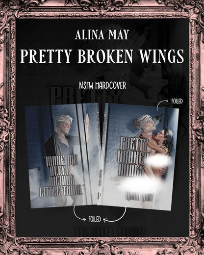 Pretty Broken Wings Box