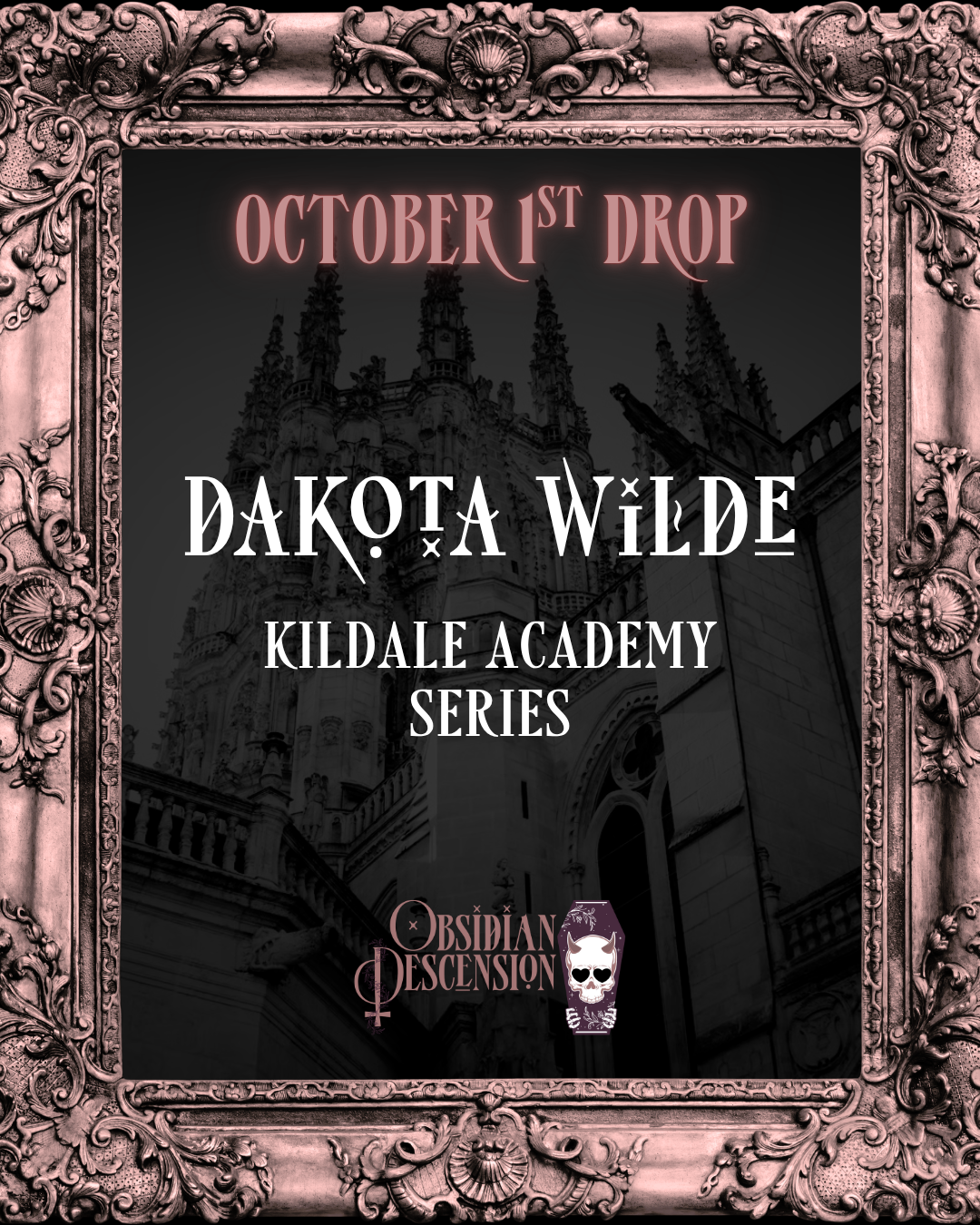 Kildale Academy Series Box