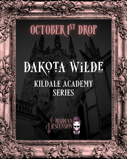 Kildale Academy Series Box