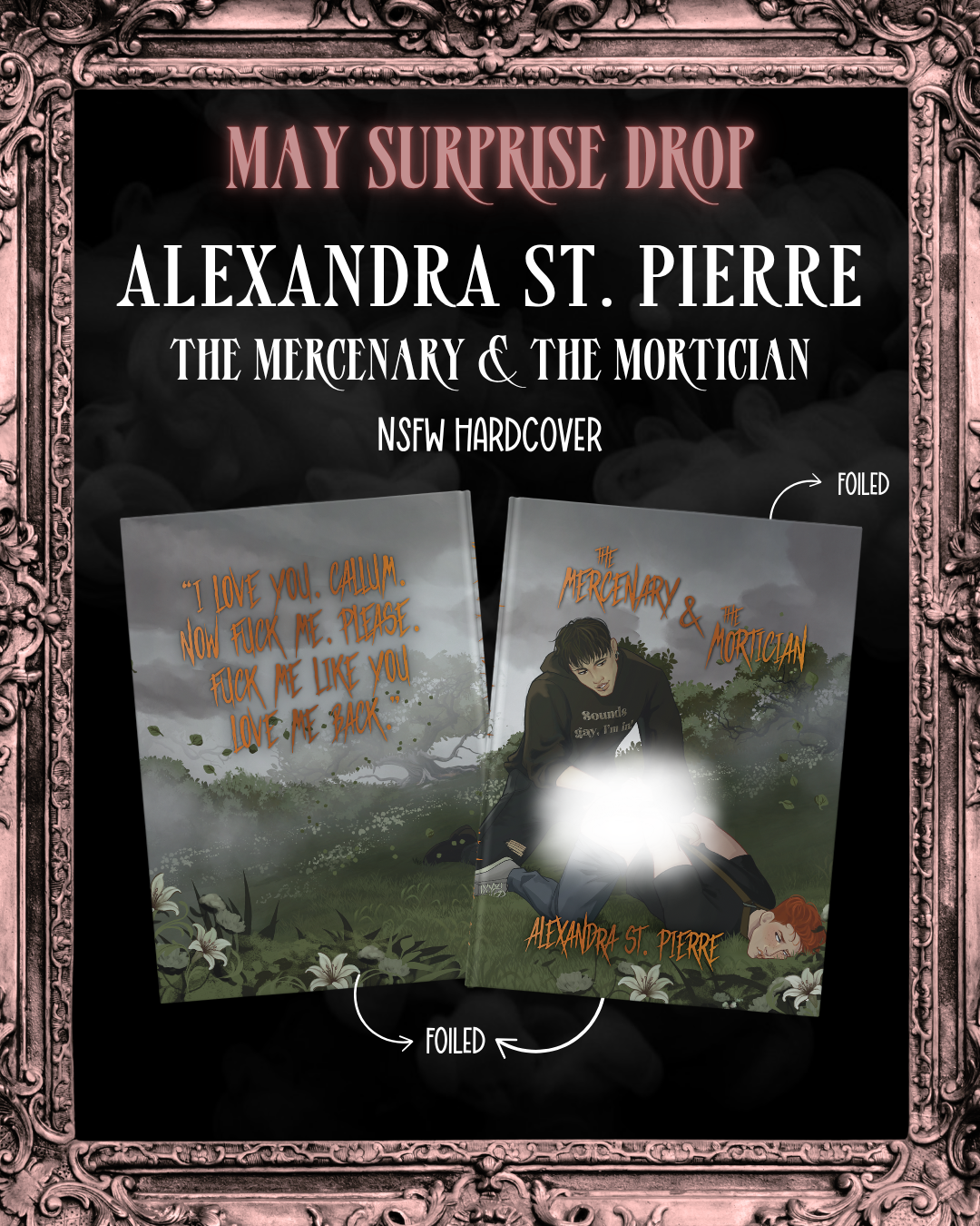Silent Hollow Series Box